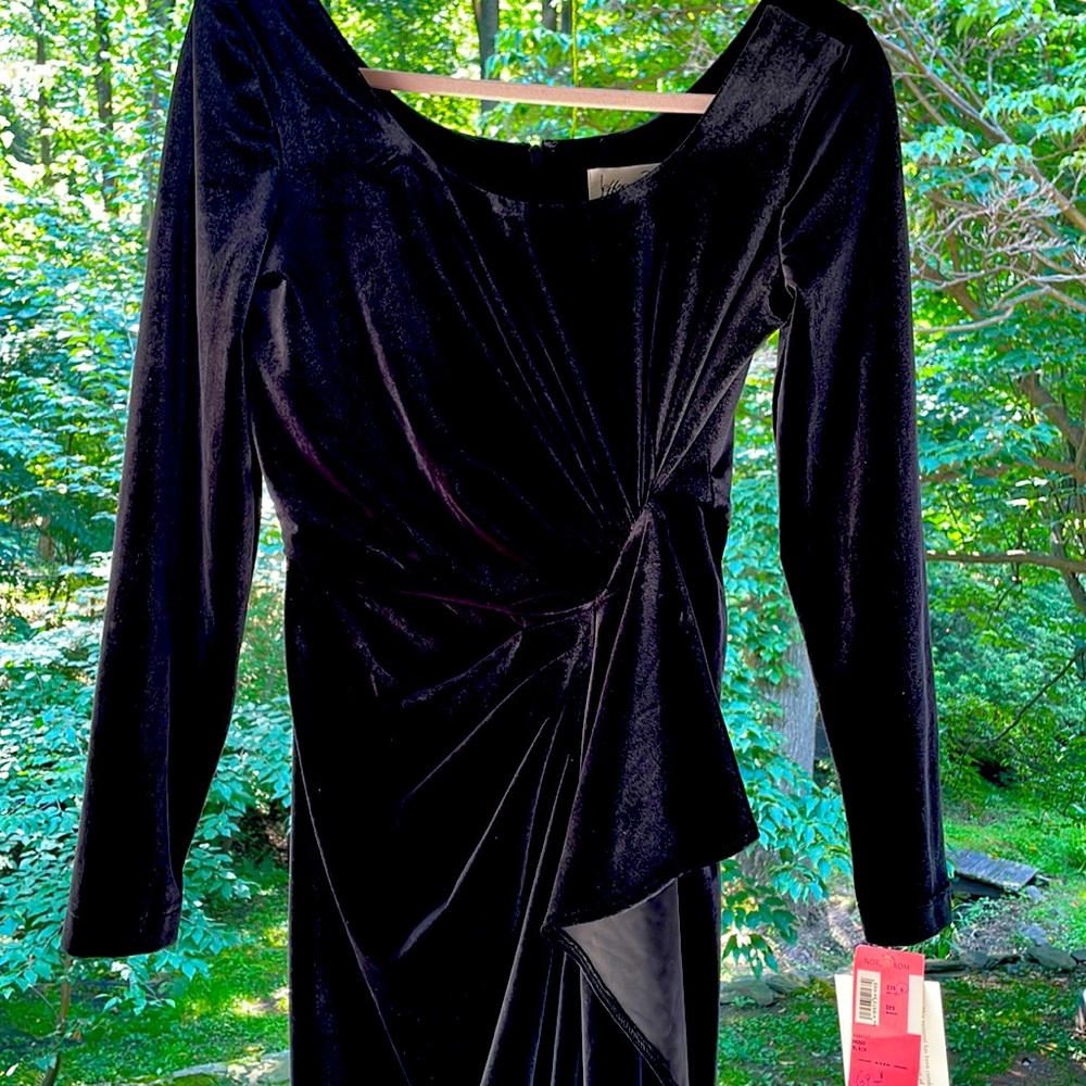 Black, velvet dress. Perfect for a wedding, New Year’s Eve or Black Tie.